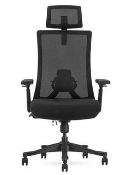 Ергономічне крісло SK9-BH BLACK чорне 03068 фото