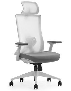 Ергономічне крісло SK9-GH WHITE біле 03069 фото